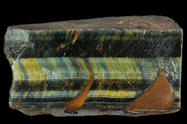 Polished Blue Tiger's Eye Section - South Africa #128469